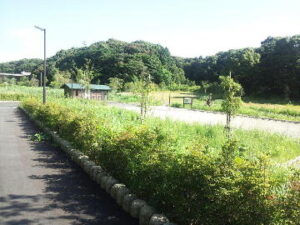 竹尾緑地の全景