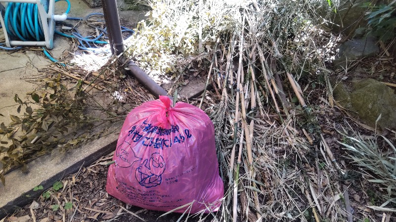 庭を少しいじる