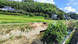 川沿いの田舎道が陥没